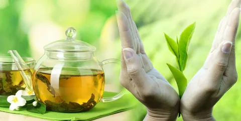 تصویر 4 از قیمت خرید چای سبز چکشی + فروش ویژه